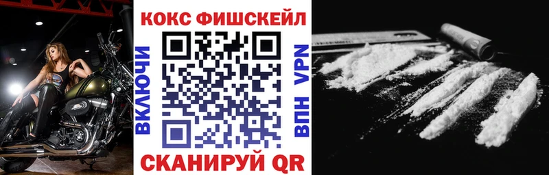 даркнет сайт Пудож COCAIN Fish Scale