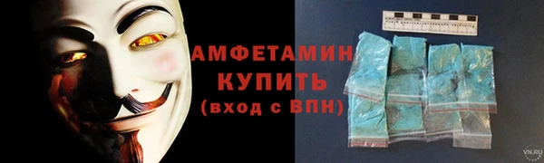 сатива Балахна