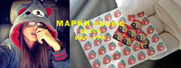 сатива Балахна