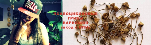 бутират Арсеньев