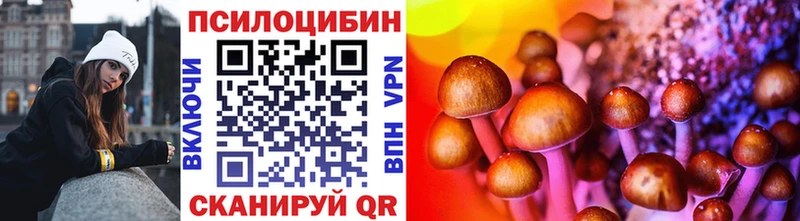 KRAKEN как зайти  Пудож  Галлюциногенные грибы Psilocybe 